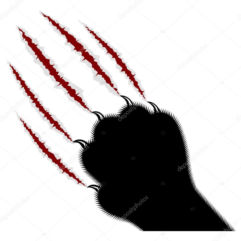 trace of claws of a predator on a white background