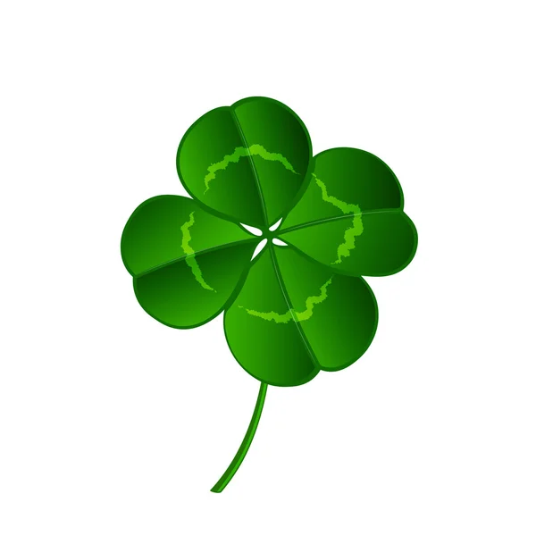 Leaf clover isolated on white background — Stock Vector