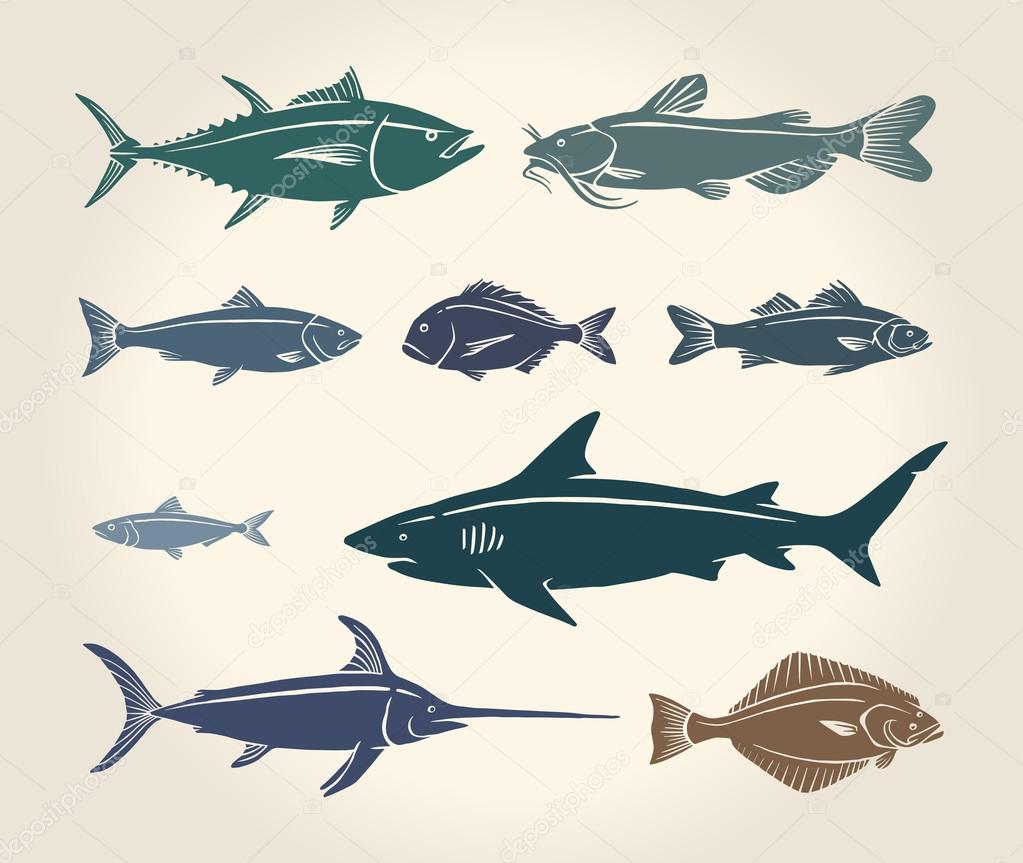 Vintage illustration of fish