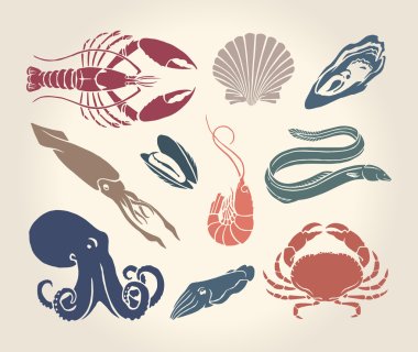 Vintage illustration of crustaceans, seashells and cephalopods clipart