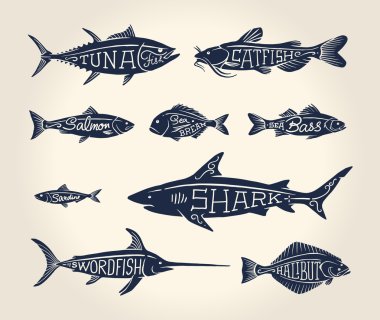 Vintage illustration of fish with names clipart