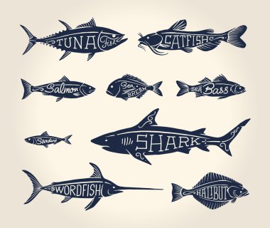 Vintage illustration of fish with names vector Vintage illustration of fish with names vector