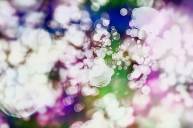 Festival arka plan. Glitter vintage ışıklar arka ışıklı defocused.