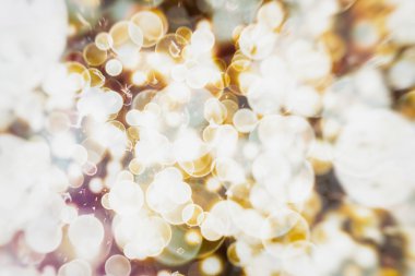 Festival arka plan. Glitter vintage ışıklar arka ışıklı defocused.