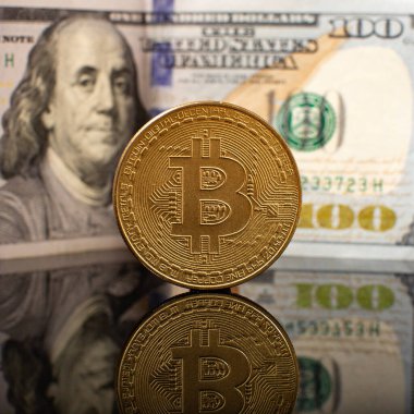 Bitcoin fon doları. Bitcoin BTC Kripto Para Birimi. Borsa Konsepti.