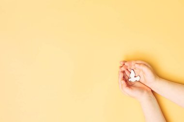Child hands holding white dove bird on blue background, international day of peace or world peace day concept.