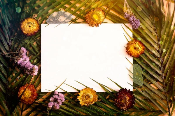 Мінімальна Літня Концепція Пальмовим Листям Креативна Копія Паперовою Рамкою Творче — стокове фото
