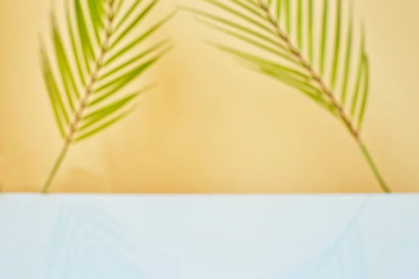Дизайнерські Банерні Оголошення Літньому Сезоні Концепція Відображення Абстрактне Розмите Тропічне — стокове фото