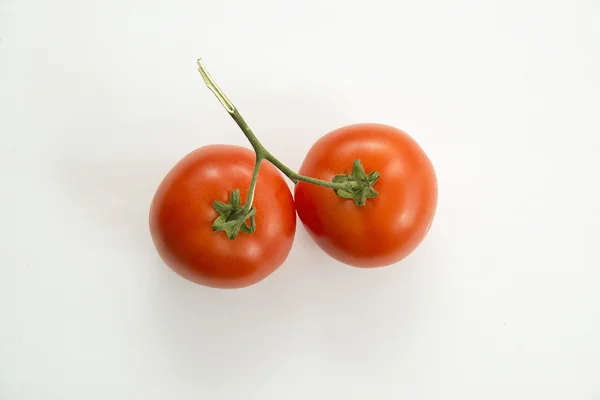 Tomates rojos frescos sobre una rama verde sobre fondo claro — Foto de Stock