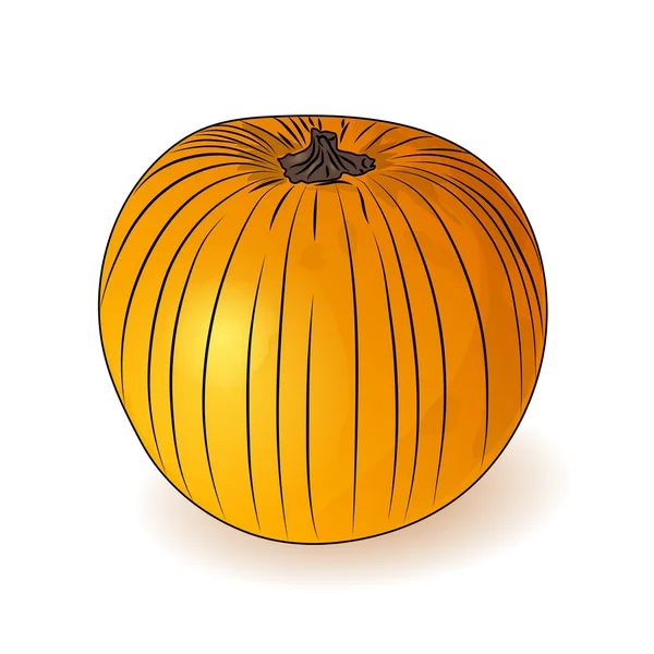 Оранжевая тыква. Символ Хэллоуина. Векторная иллюстрация . — стоковый вектор