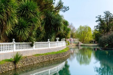 Rusya 'nın Sochi Adler şehri güney kültürleri parkı. Ağaçların yansıması olan gölet.