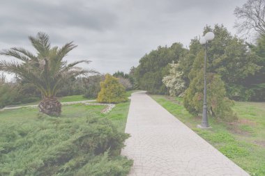 Rusya 'nın Sochi Adler kenti bölge parkı güney kültürleri.