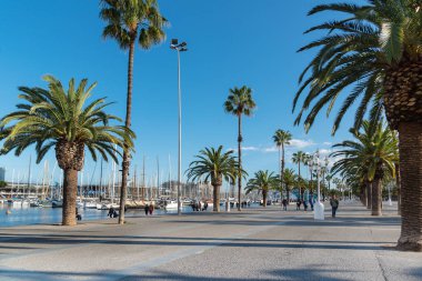 İspanya Barselona 'da palmiye ağaçları ve yatlarla dolgu - 13 Mayıs 2018.