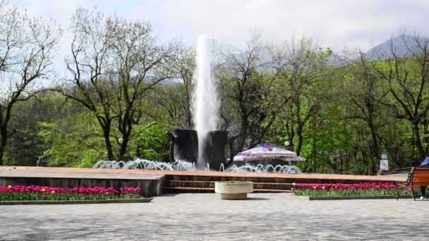 Fontaine Forme Tasses Dans Parc Villégiature Zheleznovodsk Territoire Stavropol Russie — Video