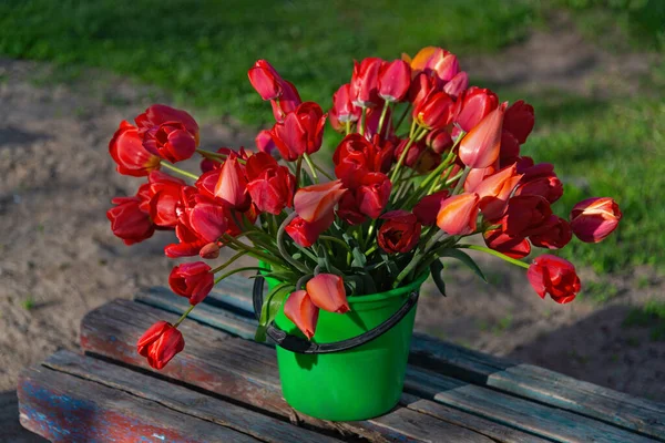 一束红色的郁金香在一张旧木凳上 — 图库照片