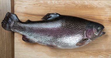 Ahşap bir arka planda çiğ balık. Alabalık. Yukarıdan bak. Metnin için boş yer