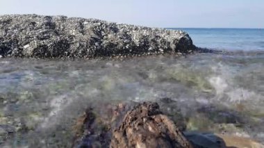 Nebug Nehri ve Karadeniz 'in birleşimi, Krasnodar Toprakları, Rusya.