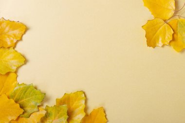 Sarı arkaplanda sonbahar yaprakları çerçevesi