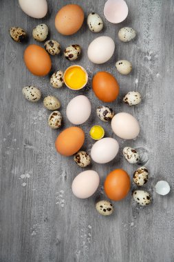 masada en iyi görünümü bıldırcın ve tavuk yumurta