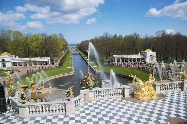 Fountains of Petergof  Palace — Stock Photo, Image