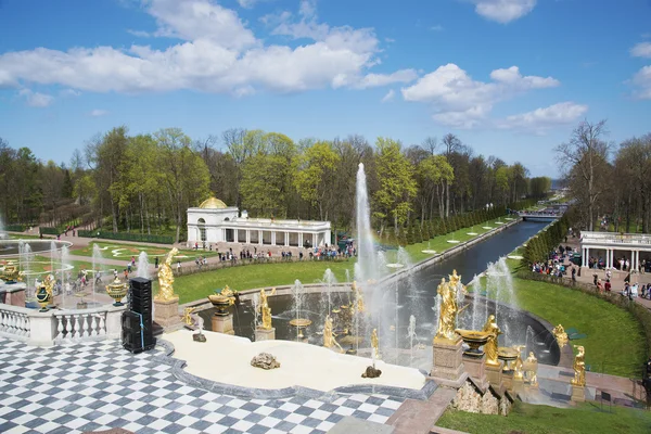 Brunnen des Petergof-Palastes — Stockfoto