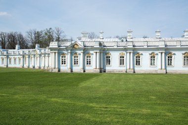 Catherine Palace Tsarskoye Selo şehir