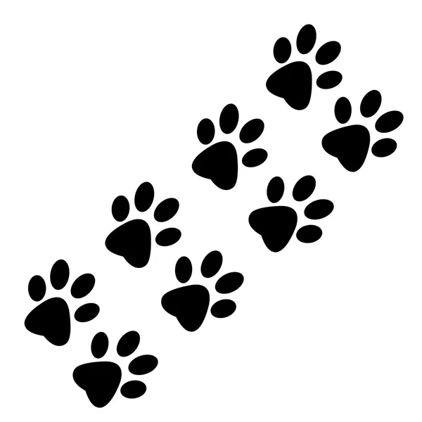 Vector traces of animal paws — Stock Vector