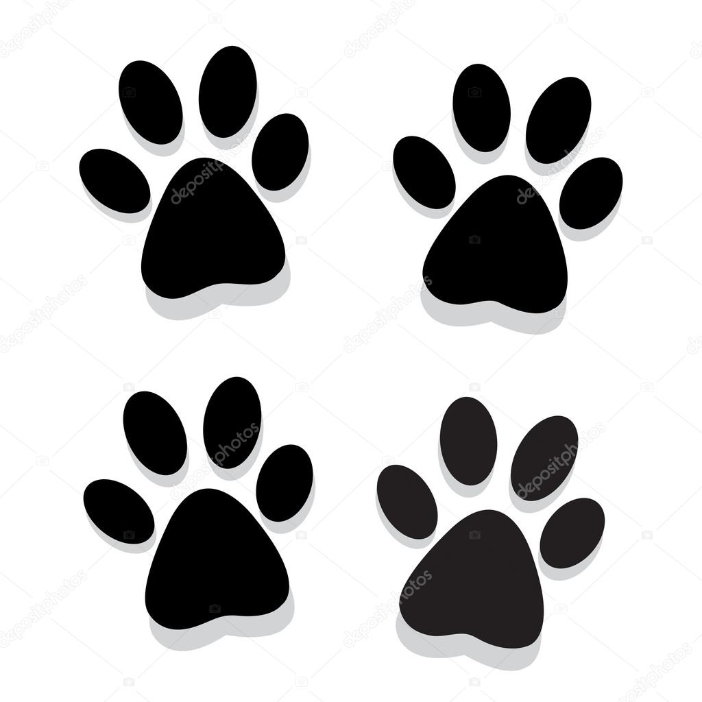 Traces of animal paws on a white background