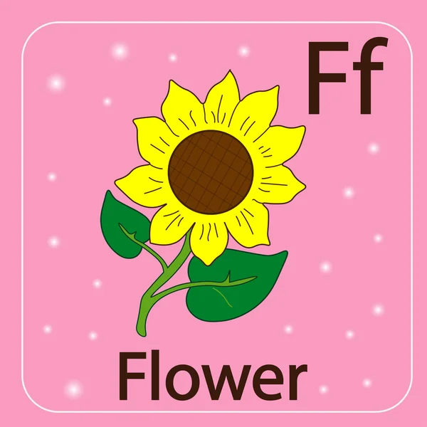 英語の手紙 F と花 — ストックベクタ