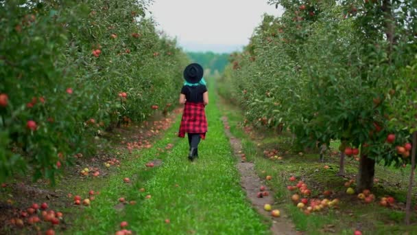 Mujer bastante inusual con el pelo teñido de azul caminando sola entre los árboles en el jardín de manzanas en la temporada de otoño. La chica se aleja de la cámara. Orgánica, concepto de naturaleza — Vídeos de Stock