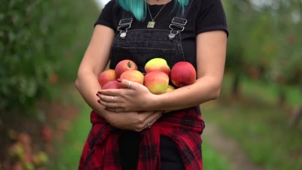 Ragazza dai capelli blu ha raccolto un sacco di frutti di mela rossa maturi da albero nel giardino verde. Stile di vita biologico, agricoltura, occupazione giardiniere — Video Stock