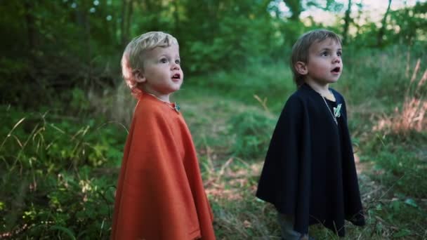 Two little toddler boys cosplay gnomes or hobbits in long capes smiling sincerely magically falling foliage in green forest. Halloween, kids concept. Amazing fairy tale character. Slow motion. — Stock Video