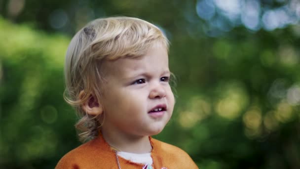 Portrait des kleinen Jungen Cosplay-Gnom oder Hobbit in orangefarbenem Umhang im grünen Wald. Halloween, Kinderkonzept. Erstaunlich goldenes Stundenlicht. Zeitlupe. — Stockvideo