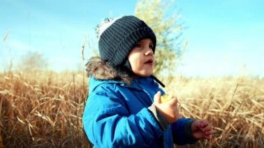 Sonbahar manzarasında küçük bir çocuğun şirin portresi - park ya da portakal tarlası. Sevgili oğlum, ailem, sonbahar doğa konsepti..
