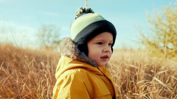 Cute portret małego chłopca malucha w jesiennym krajobrazie - park lub pole pomarańczowe. Piękny syn, rodzina, upadek koncepcji natury. — Wideo stockowe