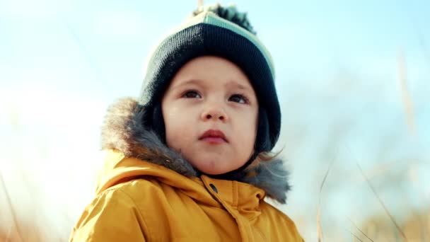 Aranyos portré kisfiúról az őszi tájban - park vagy narancs mező. Kedves fiú, család, őszi természet koncepció. — Stock videók