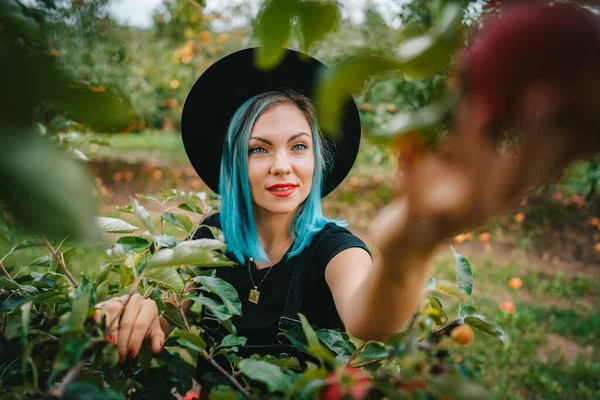 Donna dai capelli blu che raccoglie frutti di mela rossa maturi dall'albero nel giardino verde. Stile di vita biologico, agricoltura, occupazione giardiniere — Foto Stock