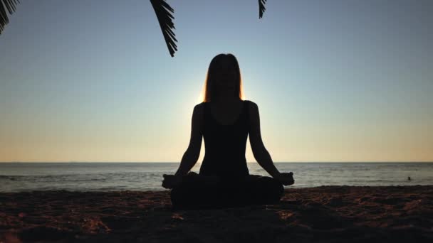 Silhouette of beautiful young woman practicing morning yoga in lotus pose on tropical sea beach with tree palms. Slow motion. — Stock Video