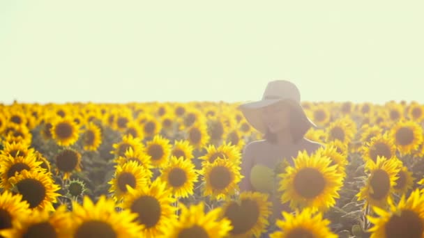 Happy woman in sunflower field. Summer girl in flower field cheerful and joyful.Caucasian young lady in cowboy hat dancing, smiling elated and serene with arms raised up. Slow motion. — Stock Video