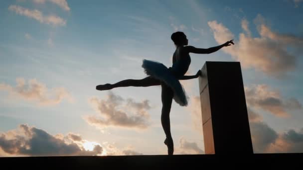 Sylwetka baleriny w balecie tutu i wskazywać na dramatyczne tło nieba. Młoda piękna kobieta ćwiczy rozciąganie i ćwiczenia. Dziewczyna w statycznej postawie. SLOW MOTION. Strzał Gimbala — Wideo stockowe
