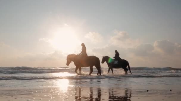 Lento movimiento. silueta de las mujeres montando hermosos caballos vadeando a través del mar salpicaduras de agua gotas en torno a la luz dorada puesta de sol o salida del sol. Semental caminando en el agua del océano — Vídeo de stock