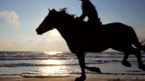 美丽的年轻女子骑着黑马在海滩上。欣赏美丽的风景。在日落或日出时疾驰而过，飞溅的水花四溅。. — 图库视频影像