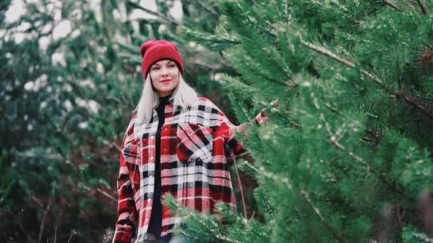 Молодая красивая женщина зимой ходит по сосновому лесу. Девушка в модной клетчатой рубашке касается ветвей деревьев, наслаждается природой. Пролетают снежинки. — стоковое видео