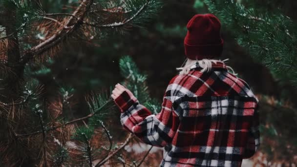 Donna irriconoscibile cammina attraverso la pineta in inverno. Ragazza in camicia a quadri alla moda tocca rami di alberi, gode della natura. Fiocchi di neve volano. — Video Stock