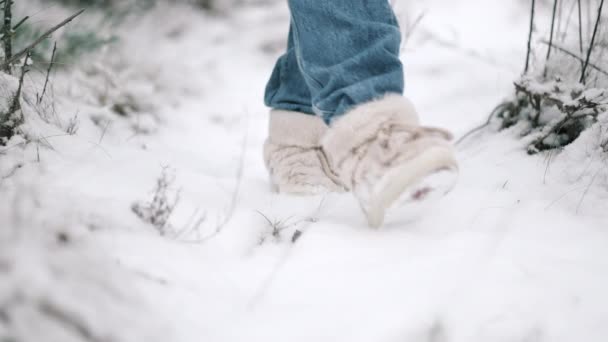 Frauenbeine in Winterschuhen - trendige Fellstiefel, die auf verschneiten Waldwegen spazieren gehen. Zeitlupe. — Stockvideo
