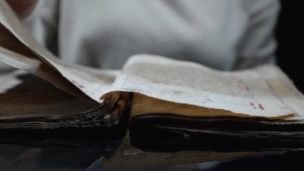 Egy nő, aki antik könyveket lapoz át. Egy hölgy Bibliával. Koncentrált hölgy, aki információt keres a régi levéltári kéziratokból. Történelmi koncepció. — Stock videók