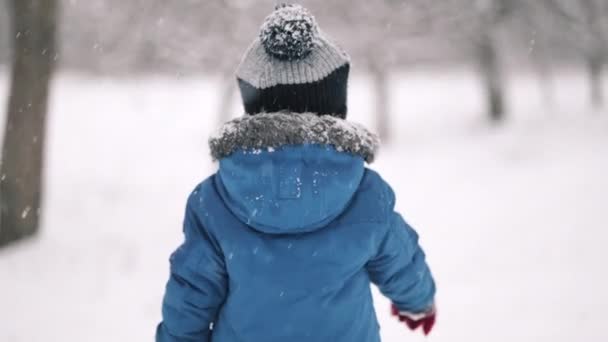 Вид сзади маленького мальчика на фоне зимнего снегопада. Ребенок в синей парке, идущий от камеры, радуется первому снегу. Медленное движение. — стоковое видео