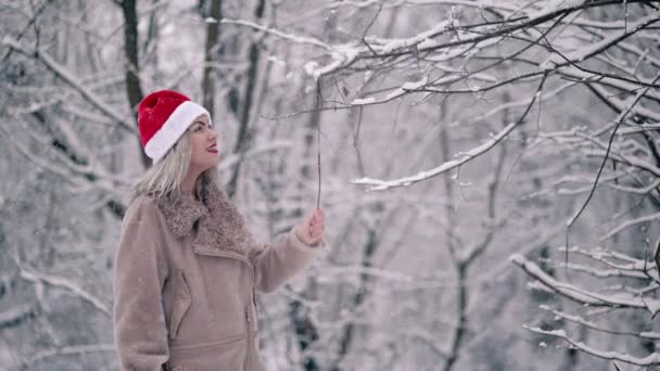 Mulher bonito alegre em chapéu de Santa puxa ramo de árvore, moscas de neve sobre ela e ela está feliz se alegra inverno e tempo frio. Movimento lento. — Vídeo de Stock