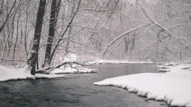 Beyaz kıyıları olan siyah nehir. Gerçek kar yağıyor. Kış, soğuk hava, tipi, fırtına. Romantik harikalar diyarı. Manzara, güzel orman arkaplanı. Yavaş çekim.