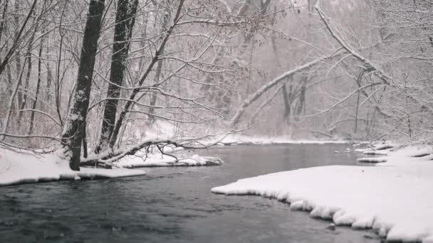 白い海岸と黒い川。本物の雪だ。冬、寒さ、吹雪、嵐。ロマンチックな不思議の国。風景、美しい森の背景。スローモーション. — ストック動画